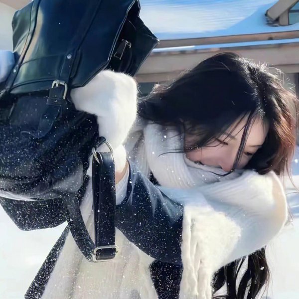 进阶的主母 海报